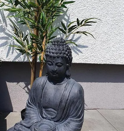 Seenah 公寓 腓特烈港