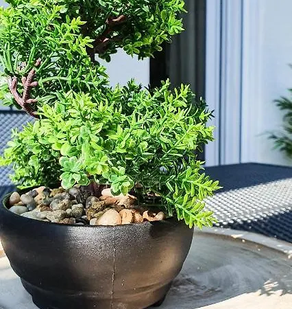 Seenah * פרידריכסהאפן